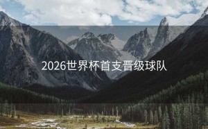 2026世界杯首支晋级球队
